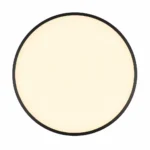 Black Round 18W LED Ceiling Light, Warm White — White-background alternate angle