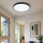 Black Round 18W LED Ceiling Light, Warm White — Second interior view
