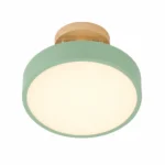 Green and Wood Round LED Ceiling Light — Distinct alternate studio view on white