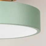 Green and Wood Round LED Ceiling Light — Material and construction detail