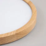 Wood-Grain 24W Slim LED Ceiling Light — Material and construction detail