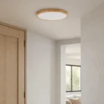 Wood-Grain 24W Slim LED Ceiling Light — Second interior view